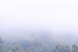 Utsikt över bergen på Sri Lanka.
